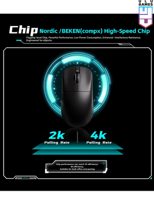 VXE R1 Serisi Wireless Mouse